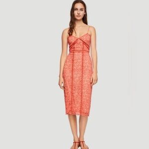 Mango Lace Midi Dress in Coral Red Size M